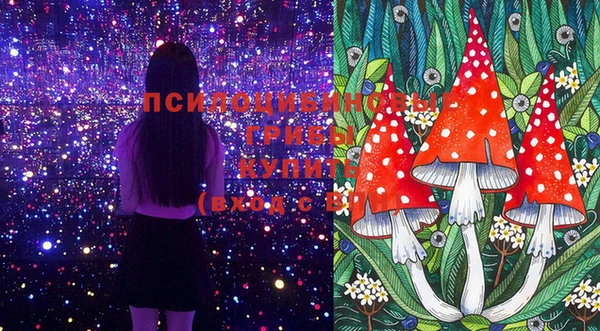 индика Строитель