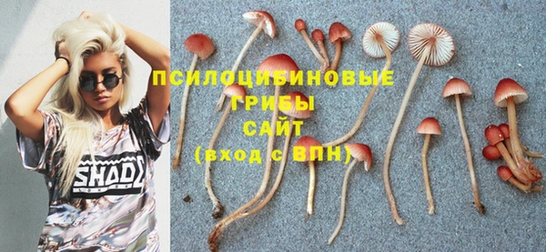 герыч Бородино