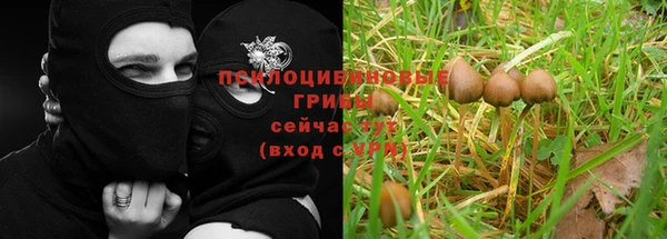 каннабис Бронницы
