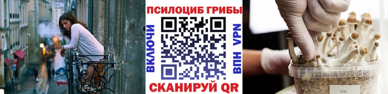 Псилоцибиновые грибы прущие грибы  нарко площадка формула  Суворов  как найти наркотики 